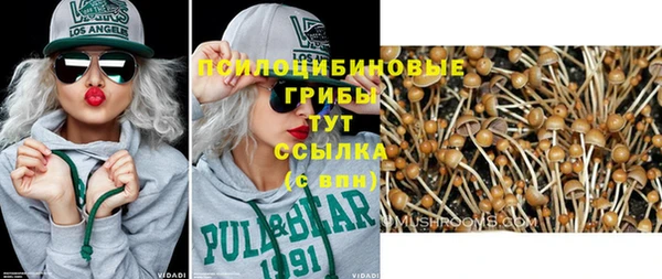 стаф Кинешма