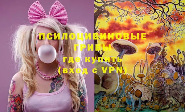 стаф Кинешма
