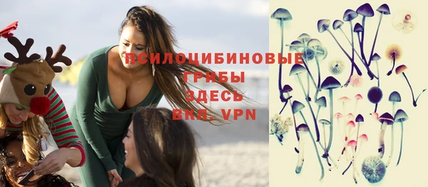 apvp Костерёво
