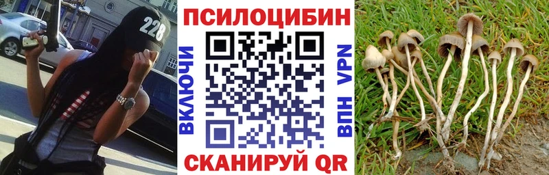 Галлюциногенные грибы мухоморы  Мелеуз 