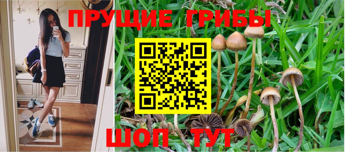 Галлюциногенные грибы Cubensis  Мелеуз 