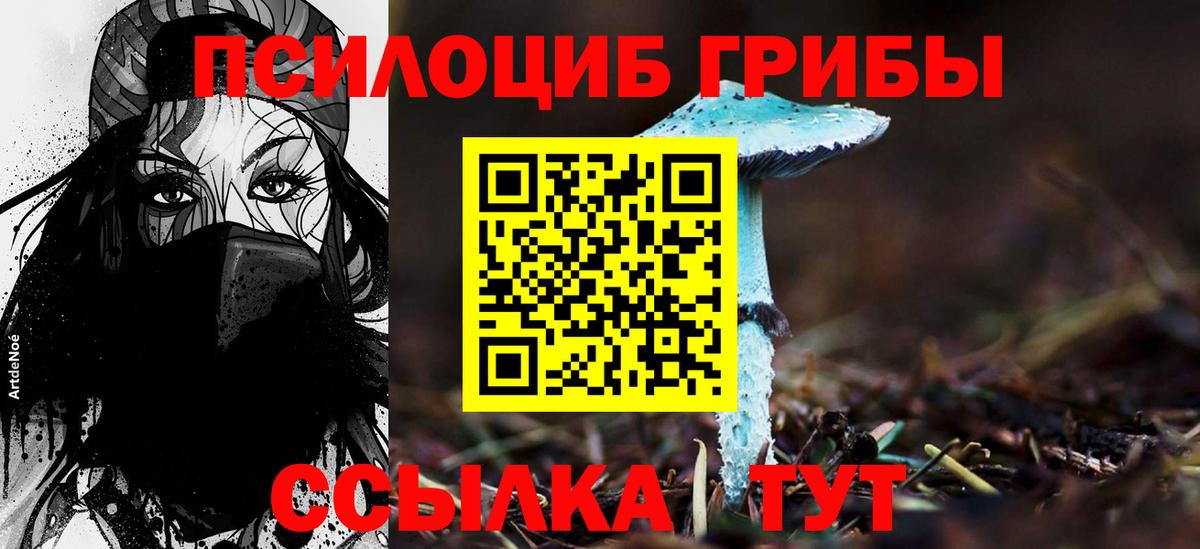 Псилоцибиновые грибы мухоморы Мелеуз