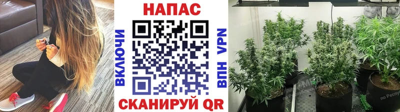 наркошоп  Мелеуз  Канабис план 